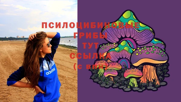 шишки Алзамай