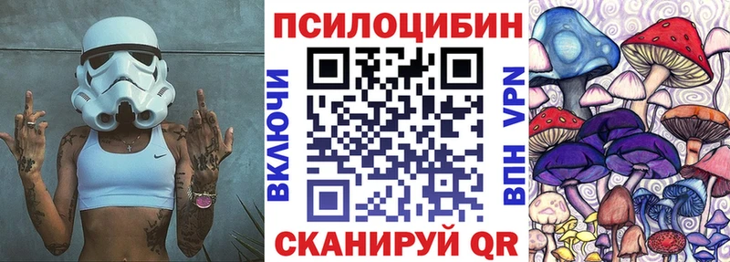 закладки  Нижний Тагил  Псилоцибиновые грибы Psilocybe 